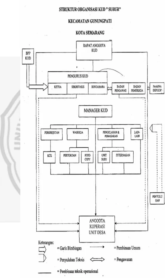 Gambar 4.1  Struktur Organisasi KUD SUBUR 