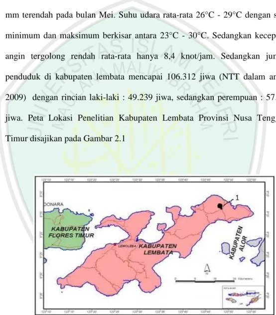 Gambar 2.1 Peta Kabupaten Lembata   Keterangan: 