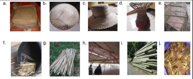 Gambar 1 Jenis-Jenis Pemanfaatan Bambu 