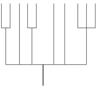 Gambar 1. Kladiogram berdasarkan sifat fisik. Keterangan: A = C. 