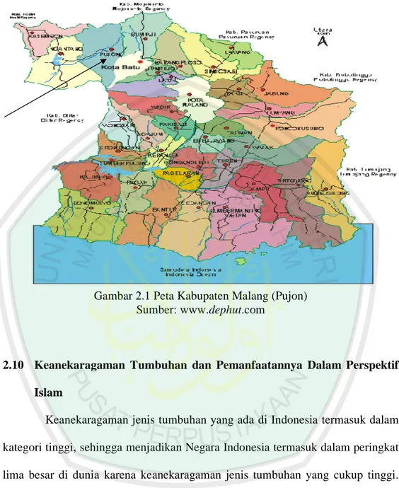 Gambar 2.1 Peta Kabupaten Malang (Pujon)  Sumber: www.dephut.com 
