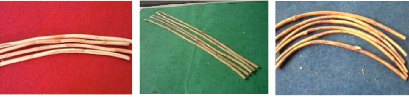 Table 4.  Classification  of  25  rattan  species  based  on  their  tensile  strength  parallel  to  grain  (TS //) Kelas  (Class)  Selang  KT //  (Interval of  TS //)  Nilai skor pada tiap selang  (Score values  in each  interval )  ++) Karakteristik  (C