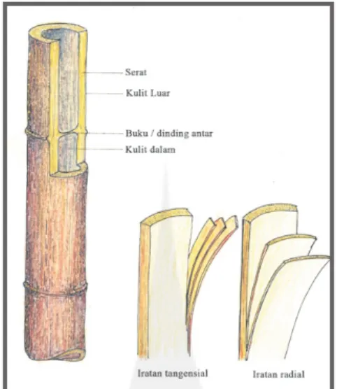 Gambar 1. Struktur batang bambu dalam iratan (Dokumentasi: Lubis, 2013)