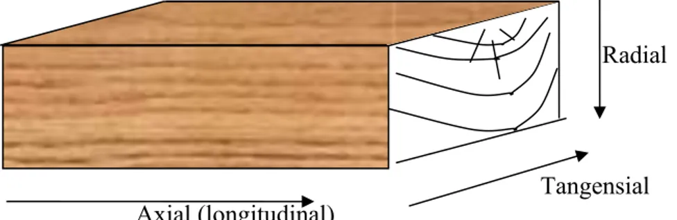 Gambar : Tiga arah utama pengujiaan kayu