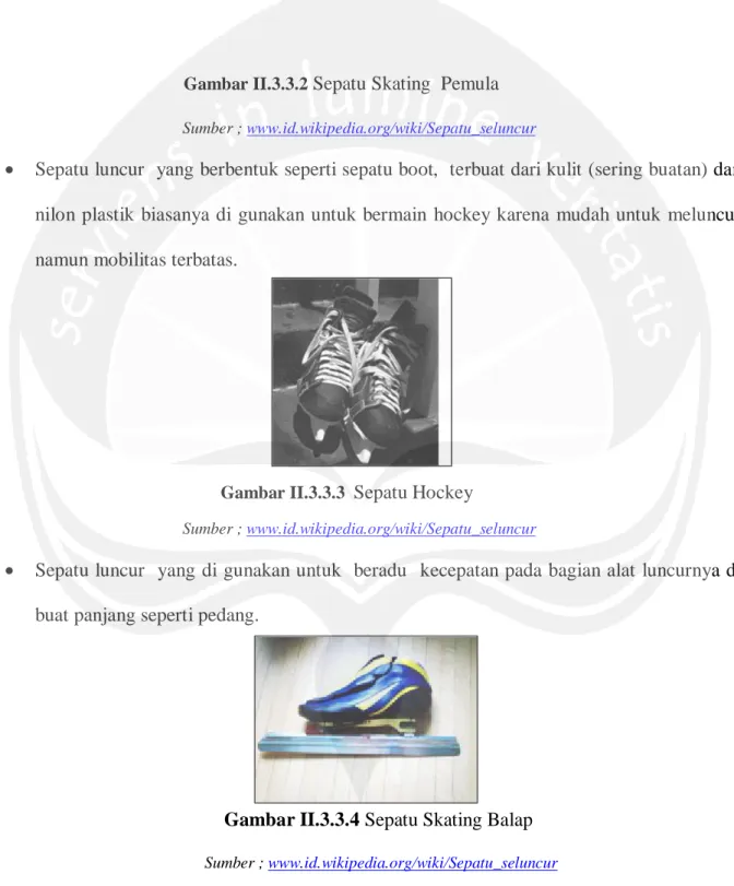 Gambar II.3.3.3   Sepatu Hockey 