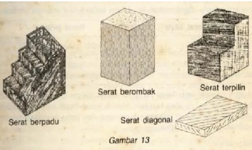 Gambar 2.3. Macam-macam Serat (Damandauw J.F, 1982) 