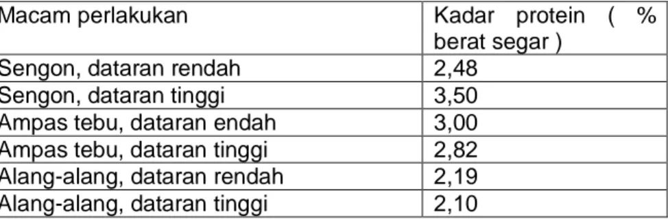 Tabel 4 :  Kandungan protein jamur tiram putih pada berbagai media pada  lokasi penanaman yang berbeda ( % berat segar) 