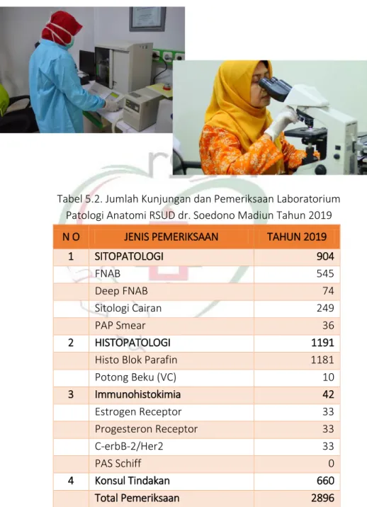 Tabel 5.2. Jumlah Kunjungan dan Pemeriksaan Laboratorium  Patologi Anatomi RSUD dr. Soedono Madiun Tahun 2019 