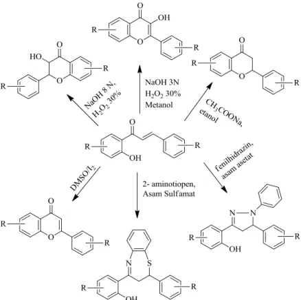 Gambar 4. Berbagai senyawa turunan 2’-hidroksikalkon 