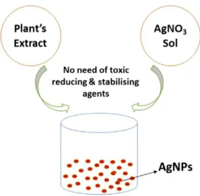 Gambar 2.2 Metode sintesis NPP menggunakan ekstrak tumbuhan (Akhmed et  al., 2016) 