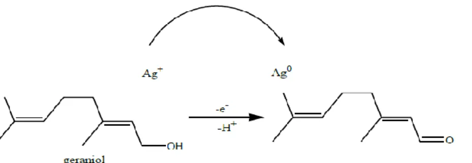 Gambar 2.3 Mekanisme reaksi reduksi-oksidasi pada genariol dan ion  perak dalam biosintesis NPP 