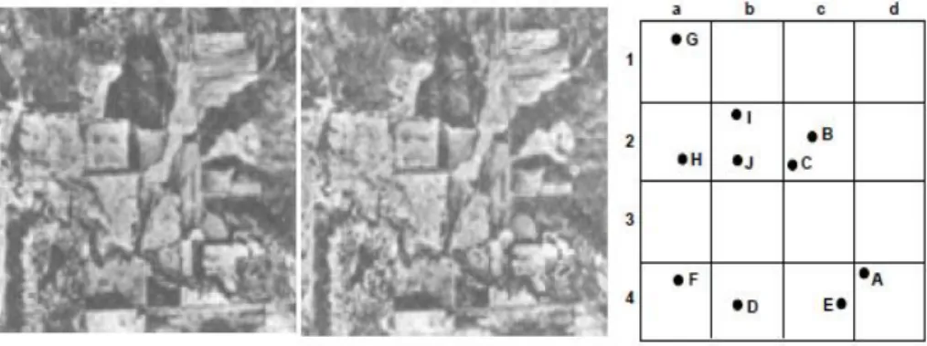 Gambar II.11. Rona fotografi diukur dalam bayangan dari: kelabu putih pada A,  kelabu muda pada B, kelabu suram pada C, dan kelabu hitam pada D