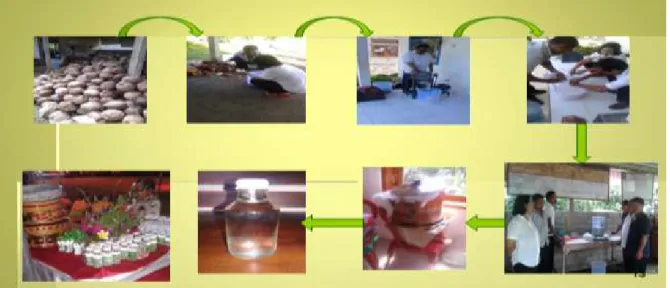 Gambar 3.  Proses Pembuatan Virgin Coconut Oil (VCO) 