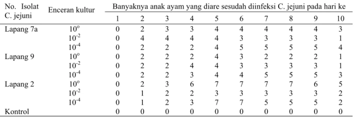 Tabel 1. Patogenitas isolat/galur C jejuni terhadap anak ayam 