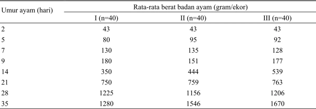 Tabel 2. Rata-rata berat badan ayam percobaan pada uji tular percobaan kekerdilan pada ayam pedaging  Rata-rata berat badan ayam (gram/ekor) 