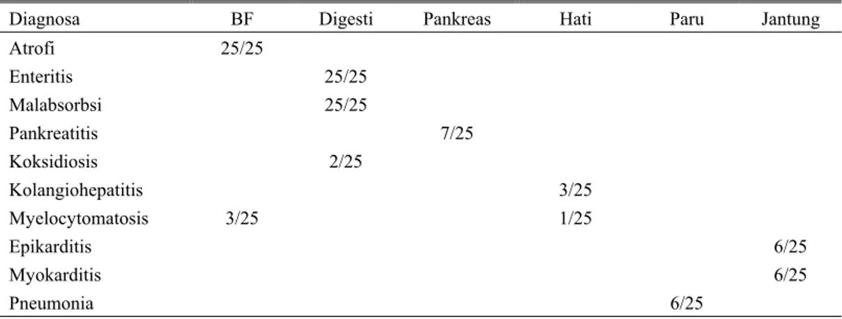 Tabel 2: Hasil pemeriksaan patologi mikroskopi sampel organ ayam broiler yang menderita kekerdilan 