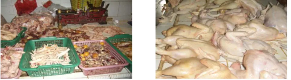 Gambar 5. Penataan karkas ayam dan bagian ayam yang lain di pasar  Tradisional 