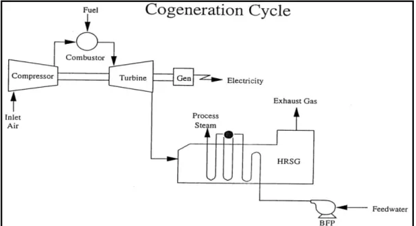 Gambar 7 . Diagram Cogeneration Cycle 