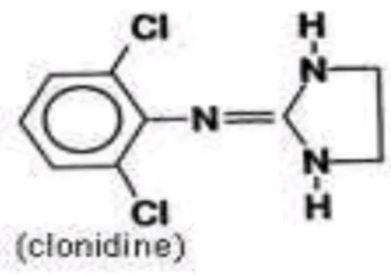 Gambar 7. Molekul Klonidin 
