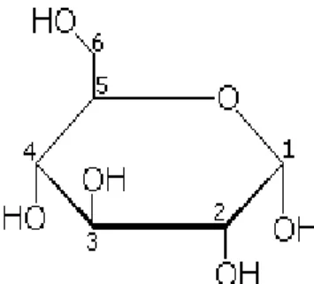 Gambar 4 Proyeksi Haworth struktur glukosa  ( -D-glukopiranosa) 18 