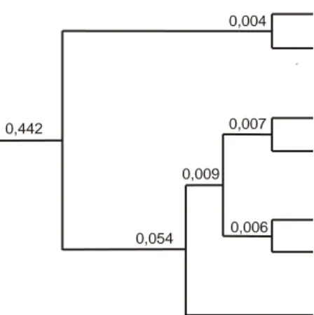 Tabel 3. Jarak genetik diantara pertanaman Pinus merkusii  Table 3.  Genetic distance of studied Pinus merkusii 