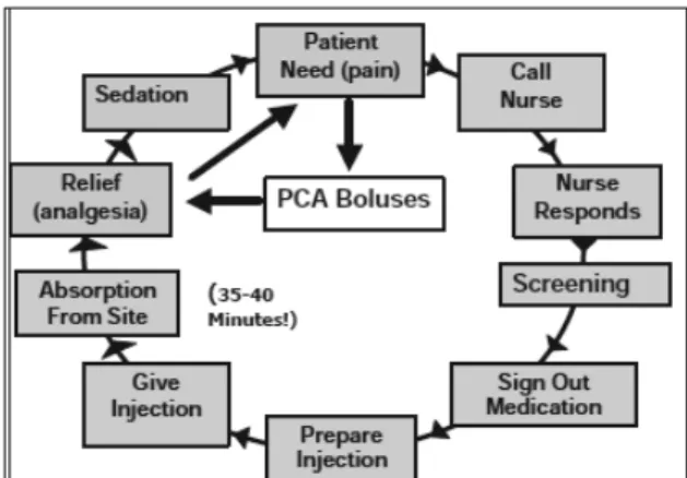 Gambar 5. Siklus Nyeri Pasien dihubungkan dengan  dosis opioid PRN vs PCA 2