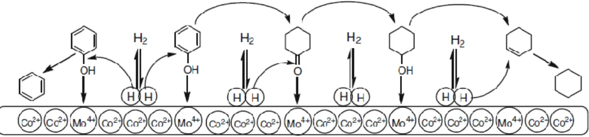 Gambar 3. Usulan mekanisme reaksi HDO fenol menggunakan katalis amorf Co-Mo-O-B 