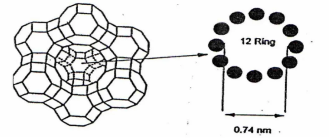 Gambar  1.  Struktur  Zeolit  Y  dengan  Pembukaan  Cincin-12  (Augustine,  1996 dalam Yusnani, 2008) 