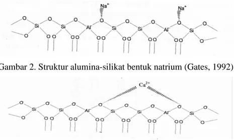 Gambar 2. Struktur alumina-silikat bentuk natrium (Gates, 1992) 