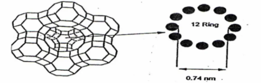 Gambar 1. Struktur Zeolit Y dengan Pembukaan Cincin-12  (Augustine, 1996)
