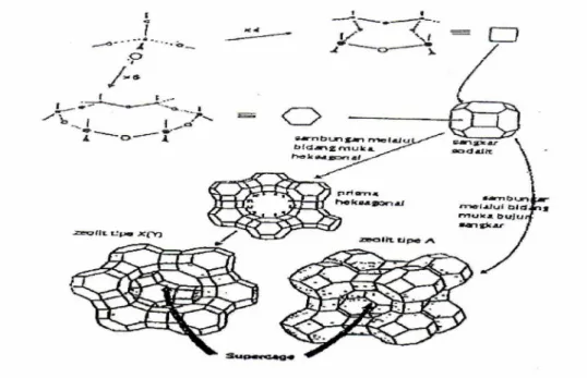 Gambar 4. Diagram Unit Struktur Dasar dan Mode Kombinasi   Zeolit A, X dan Y. 