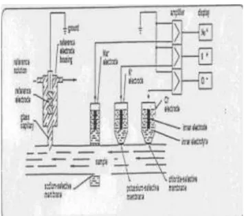 Gambar 5. Prinsip pengukuran elektrolit dengan metode ISE 