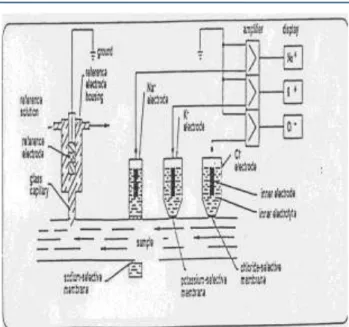 Gambar 2. Prinsip Pengukuran Elektrolit dengan  Metode ISE. 20