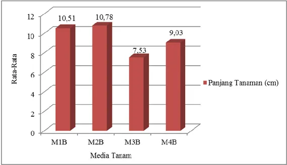 Gambar 5.4 Diagram rata-rata panjang tanaman pada benih padi merah (Oryza          nivara) varietas cempo merah dengan menggunakan beberapa media          tanam