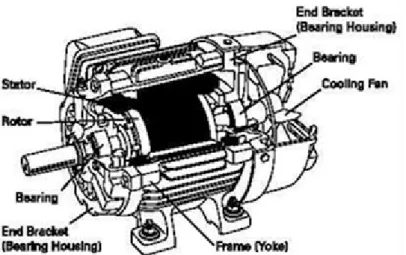 Gambar 2. 20 Konstruksi Motor Listrik 3 Fasa 