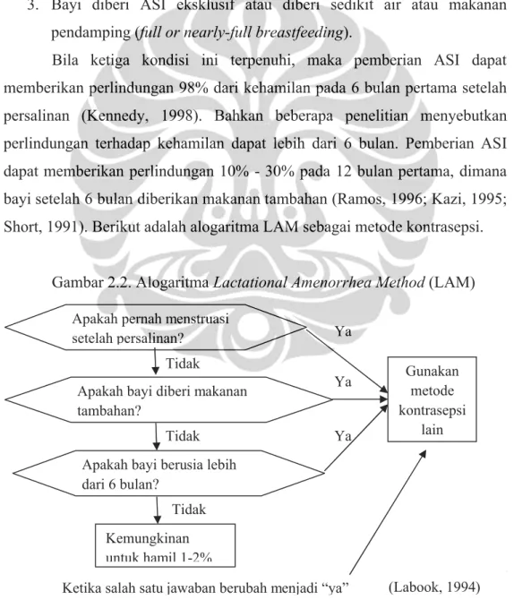 Gambar 2.2. Alogaritma Lactational Amenorrhea Method (LAM)