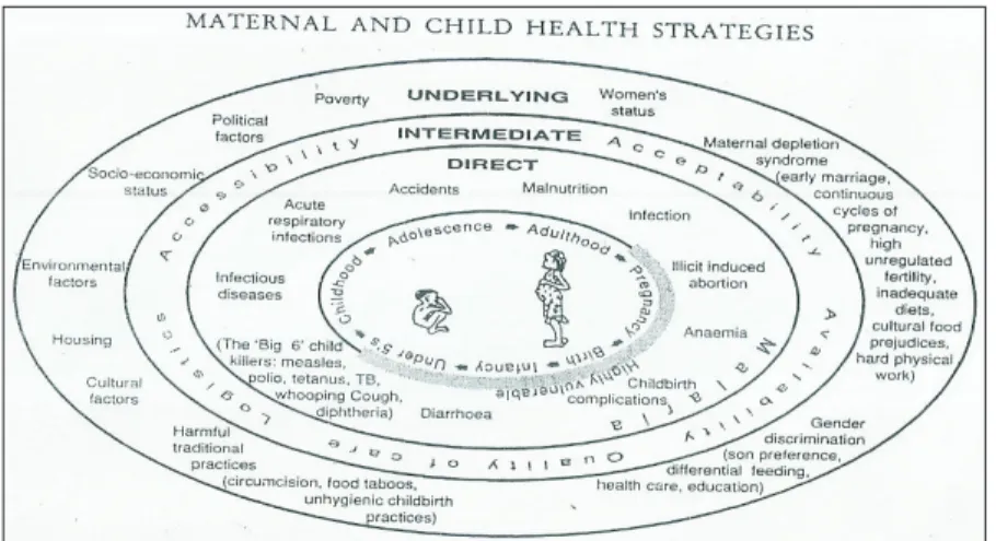 Gambar 1 menyebutkan terdapat 3 (tiga)  segmen faktor yang mempengaruhi kematian  dan kesakitan pada ibu dan anak yaitu: (1)  faktor langsung (direct) meliputi: masa hamil  (pregnancy),  birth  (persalinan),  infancy (bayi),  masa balita (under 5 years), m