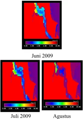 Gambar 3. Sebaran konsentrasi klorofil-a di Perairan Selat Bangka pada Musim Timur Tahun 2009 (Bulan Juni, Juli, dan Agustus)
