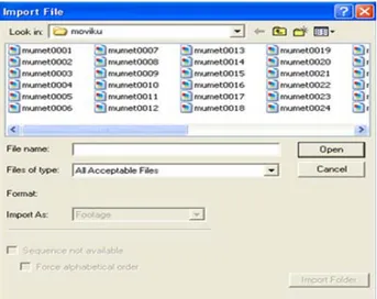 Gambar 4.20 Jendela File Import  