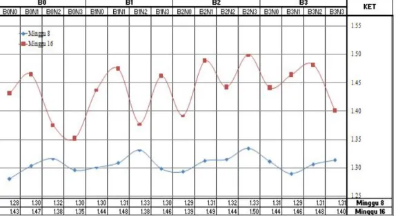 Gambar 3. Grafik kecenderungan pola pertambahan diameter batang pada minggu   ke-VIII dan ke-XVI setelah tanam 