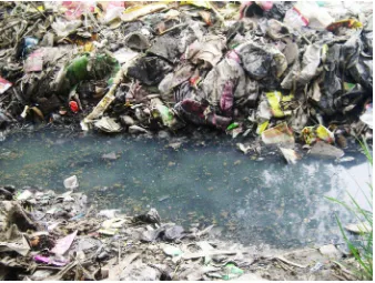Gambar 4.2. Gambar Timbunan Sampah di Sungai Kecil 