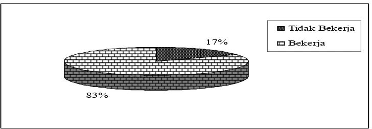 Gambar 4.5. Distribusi Kepala Keluarga Berdasarkan Pekerjaan 