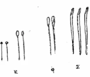 Gambar 2.7 Macam-macam jarum (Wasia Roesbani, 2001 : 9)  6)  Tudung jari/bidal 