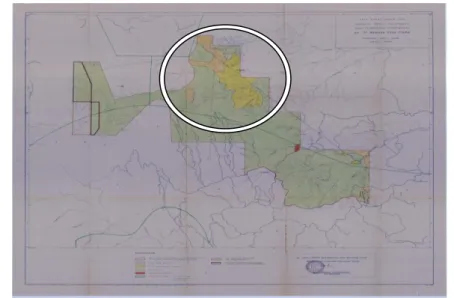 Gambar Peta Survey Mikro Departemen Kehutanan Tahun 1987 yang menunjukkan wilayah  perladangan dan belukar di Dusun Lamo Pinang Tinggi, Tanah Menang dan Padang Salak 