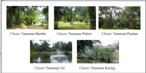 Gambar 11 Berbagai jenis cluster tanaman di KRB 