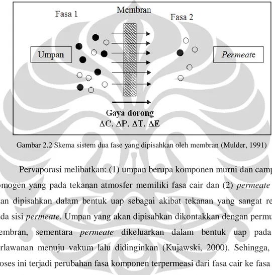 Gambar 2.2 Skema sistem dua fase yang dipisahkan oleh membran (Mulder, 1991) 