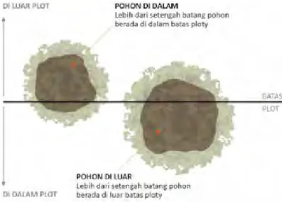 GAMBAR 1: MENENTUKAN POHON-POHON YANG BERADA DI BATAS PLOT