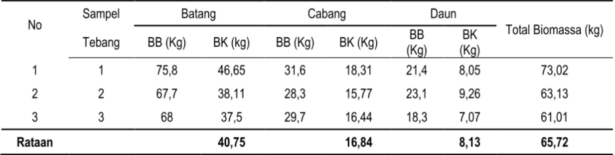 Tabel 7. Variasi Rata-rata Biomassa Sampel Tebang Pada Berbagai Bagian Tanaman Karet (Hevea brasiliensis Muell.)