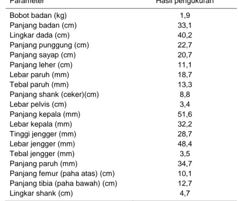 Tabel 12. Ukuran tubuh ayam Cemani betina dewasa 
