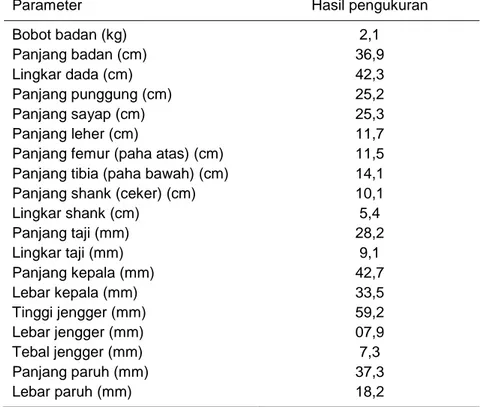 Tabel 13. Ukuran tubuh ayam Kedu Hitam jantan dewasa 